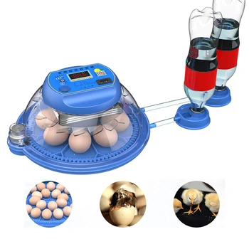 Инкубатор на 8 яиц с выдвижным мини-инкубатором для яиц с автоматическим пополнением запасов ионной воды и контролем температуры